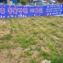 휴 애견미용 이미지