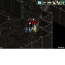 돼지나라 이미지