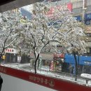 홍콩반점0410의왕내손점