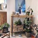 화개리 민박 이미지