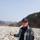내린천의 봄 이미지