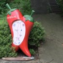어디에서 왔니 이미지
