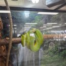 밀레쥬 에듀파크 | 육아맘들 저장각! 곤충,물고기,놀이시설이 무료!(밀레쥬에듀파크 시흥 거북섬)