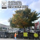 경기도늘푸른노인복지관 이미지