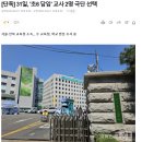 31일, '초6 담임' 교사 2명 극단 선택 이미지