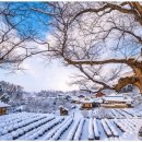 느림美 | 겨울 산책 가볼만한곳, 조용한 멋이 있는 논산 명재고택