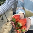 승리마루 명성도장 이미지