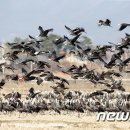 만 수산