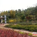 충무공동14 이미지
