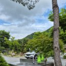 캠프우든브릿지 이미지