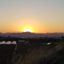 봄을 그리며 이미지