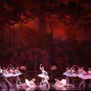 유니버설발레단 돈키호테 이미지