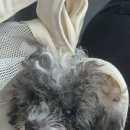 머뭉공간 이미지