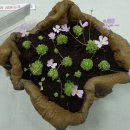 부천자연생태박물관 이미지