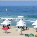 파도와 민박 이미지