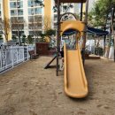 샘머리초교병설 이미지