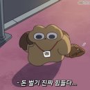김정문알로에김포