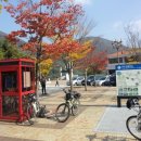 조천리마을기업 이미지