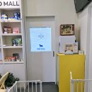 옐레드 애견유치원 & 애견호텔 대전노은점 이미지