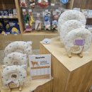 사료할인매장 이미지