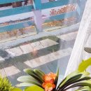 예쁜머리방 이미지