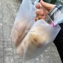시흥 은행동 대야동 빵집 박동준 베이커리