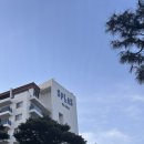 덕산 | 덕산 스플라스 리솜 후기｜플렉스 타워 S30 vs 스테이 타워 S25 솔직 비교 (대가족 여행)