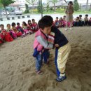 위성초등학교 이미지