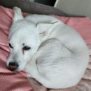 디데이 짐 | 원주 디데이스터디카페 한신점 내돈내산 후기 / 단구동 개운동