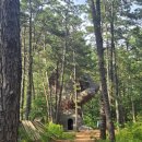 연미산 | 공주 데이트 여행 코스 추천 연미산자연미술공원 다녀온 솔직 후기