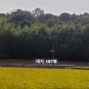 온동회관 이미지