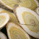 보쌈과삼계탕 이미지