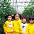 혜리농장 이미지