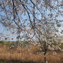 망경자전거 도로 이미지