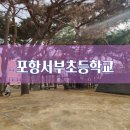흥해서부초등학교 네이버블로그