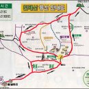 정심제