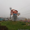 서망항2 이미지