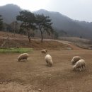 폭포수목장 이미지