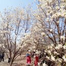 칠산마을회관 이미지