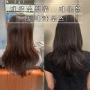 이하우 | 대구 수성구 미용실 범어동 톤다운 염색 도이하우스 리나실장님 추천