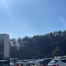 여락송정로 이미지