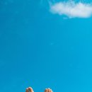 토우의원 이미지