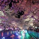 세림목욕탕