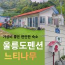 느티나무민박 | 울릉도 펜션 내집같이 편안했던 숙소 사동 느티나무펜션