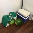 효진팜3 이미지