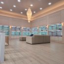 헬로퍼피 농장 | 부산 화명동 반려견분양 예쁜 아이와 새로운 시작 헬로브리더 화명점