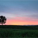 여명목장 이미지