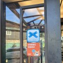 2387 | 북한강 뷰와 함께 즐기는 남양주 화도 불멍 이색 카페 [하백] 내돈내산 후기