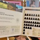 신성화학 | 일산 미용실 추천, 아이디헤어 덕이점 다해 부원장 봄브라이트 레드브라운 염색 후기