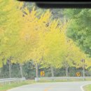 주차23 | [연천] 지금이 가장 예쁜 댑싸리 축제 후기 (10/23 방문) – 주차 무료, 입장료 없음, 유모차 OK!